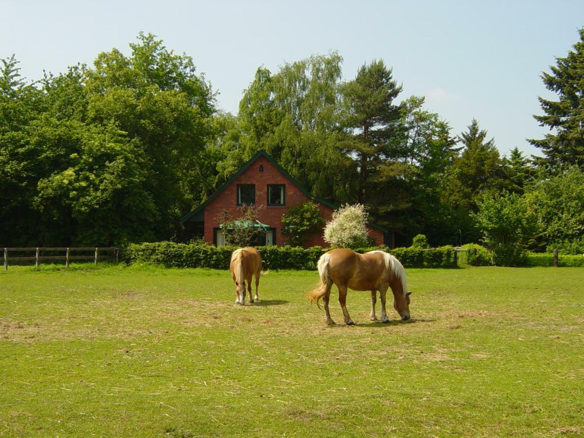 Bernard Meyborg Villa Lindern Екстериор снимка